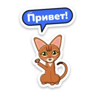 Venus sticker: Привет!